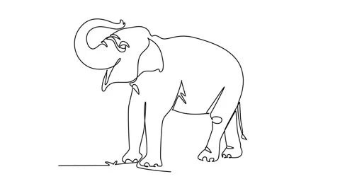 Animated self drawing of continuous line draw elephant animal lifting its t.. Stock Footage 346643643