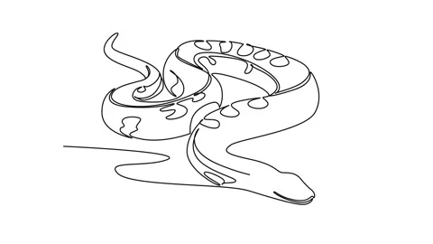 Animated self drawing of continuous line draw a wild snake animal slitherin.. Stock Footage 346643646