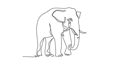 Animated self drawing of continuous line draw a wild elephant walking forwa.. Stock Footage 346643652