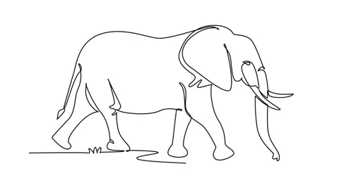 Animated self drawing of continuous line draw wild elephant animal walking .. Stock Footage 346643661