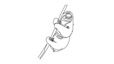 Animated self drawing of continuous line draw happy sloth hanging lazily fr.. Stock Footage 346643685