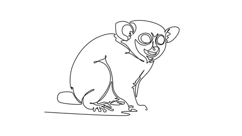 Animated self drawing of continuous line draw animal tarsier sitting alertl.. Stock Footage 346643693