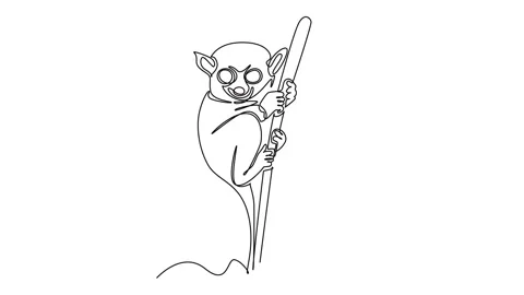 Animated self drawing of continuous line draw a nocturnal tarsier clinging .. Stock Footage 346643695
