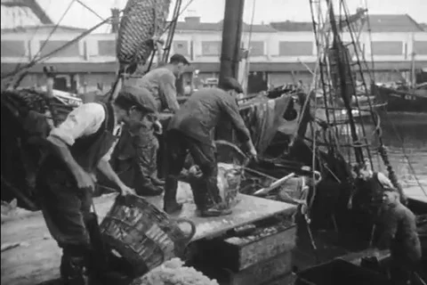 An animated sequence breaks down Britain's food import needs in the 1940s Stock Footage 89921432