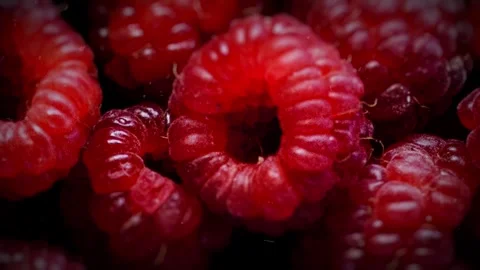 An animated sequence of multiple shots highlights juicy, vibrant raspberries. 動画素材 255410094