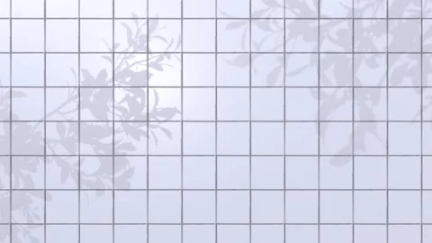 Animated Shadow Of Natural Leaves Tree Branch Falling On White Wall Tile. Stock Footage 276337856