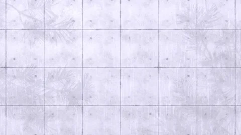 Animated Shadow Of Natural Leaves Tree Branch Falling On White Concrete Wall. 스톡 동영상 276337866