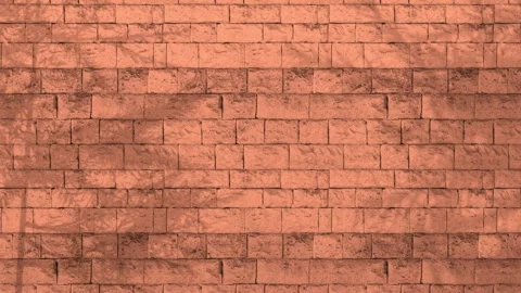 Animated Shadow Of Natural Leaves Tree Branch Falling On Orange Sandstone Wall. Stock Footage 276338190