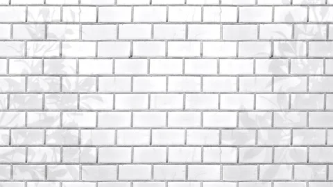 Animated Shadow Of Natural Leaves Tree Branch Falling On White Brick Wall. Stock Footage 276338210