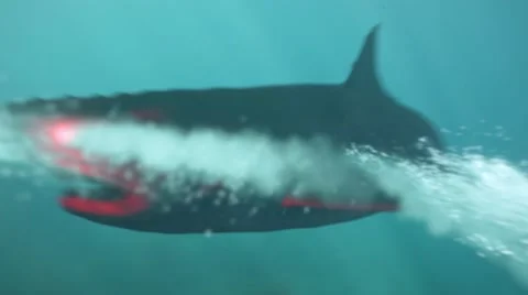 Animated shark being fired with flare gun Stock Footage 67554272