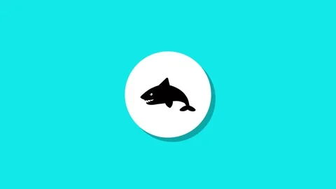 Animated shark icon on white circle motion graphic turquoise background fla.. Stock Footage 329272671