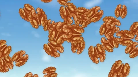 Animated Shelled Walnuts Falling and Floating Against a Blue Sky Stock Footage 345208861