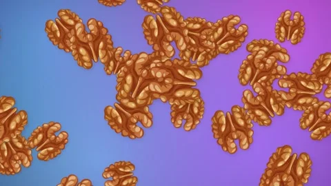 Animated Shelled Walnuts Floating Over Blue and Purple Gradient Background Stock Footage 344518956