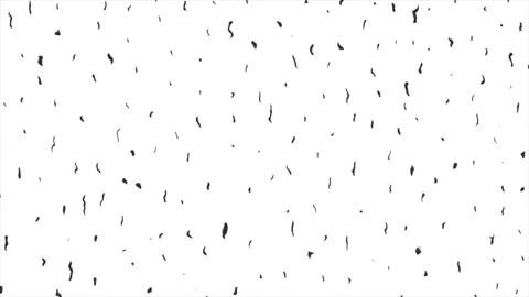 Animated short lines - black on white Stock Footage 147753612
