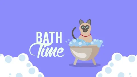 Animated siamese cat taking bubble bath in small tub with bath time letteri.. Stock Footage 333546627