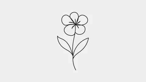 Animated of single continuous one line art draw beautiful rose flower Stock-Footage 312295595