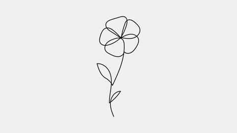 Animated of single continuous one line art draw beautiful rose flower Stock Footage 312295596