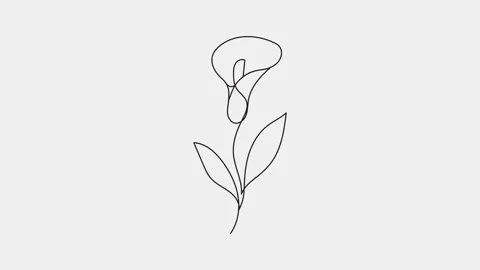 Animated of single continuous one line art draw beautiful rose flower Stock Footage 312295597