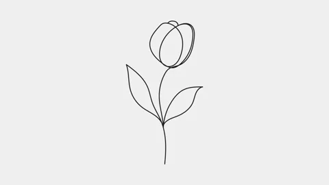 Animated of single continuous one line art beautiful rose flower Video stock 312410007