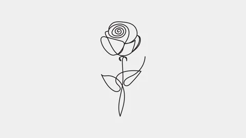 Animated of single continuous one line art beautiful rose flower Stock Footage 312410008