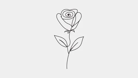 Animated of single continuous one line art beautiful rose flower Vídeos de archivo 312410010