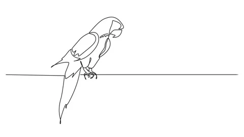 Animated single line drawing of a parrot 動画素材 244261131
