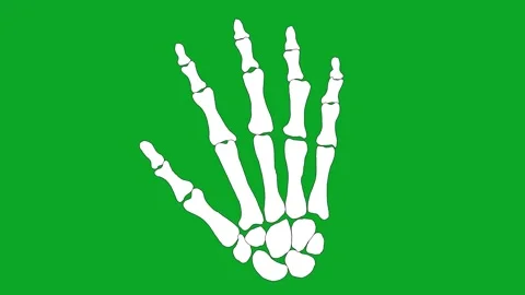Animated Skeleton Hand AnimationGreen Screen Loop - Hello/Goodbye Gesture VFX Video stock 319405323
