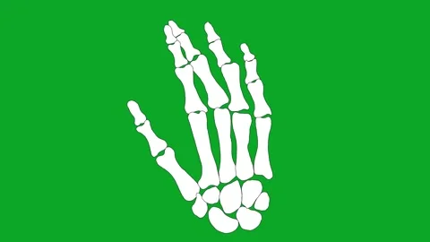 Animated Skeleton Hand AnimationGreen Screen Loop - Waiting Gesture VFX Video stock 319405367