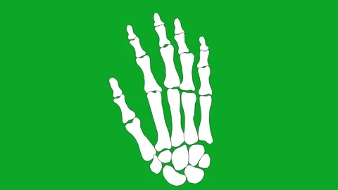 Animated Skeleton Hand AnimationGreen Screen Loop - Hello/Goodbye Gesture VFX Stock Footage 319405382
