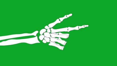 Animated Skeleton Hand Pointing Finger Green Screen - Direction, Focus Gesture Video stock 319405359