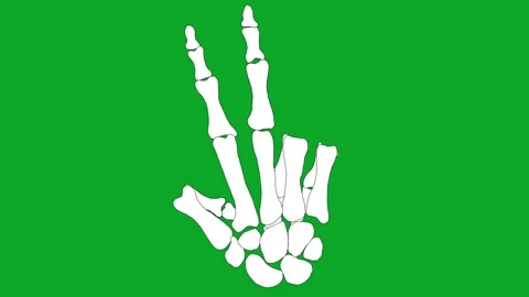 Animated Skeleton Hand Two Fingers Up Green Screen - Peace, Victory Sign Stock Footage 319405375