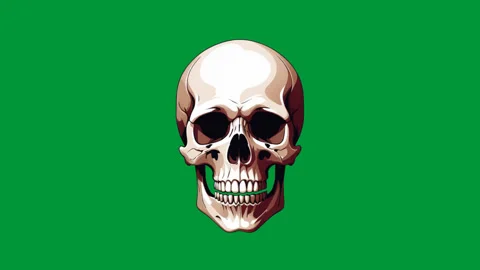 Animated  skull Stock Footage 288569544