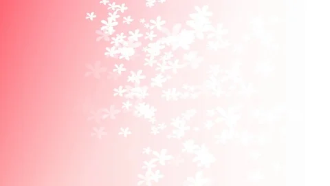 Animated slow moving white flowers Video stock 80598391