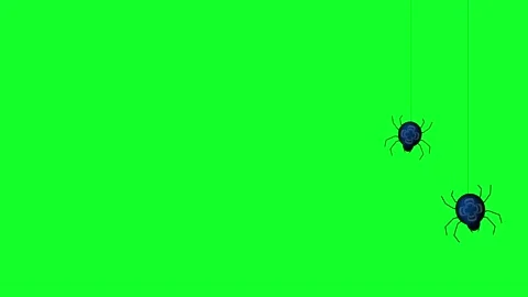 Animated small spiders. Green background. Stock Footage 159335290