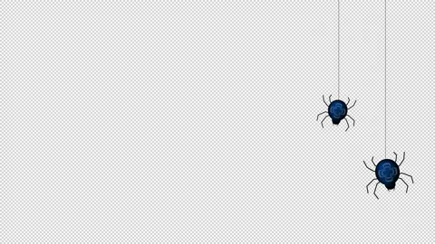 Animated small spiders on the web. Blank background. For the project. Animat Stock Footage 146742479