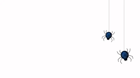 Animated small spiders on the web. Stock Footage 146742427