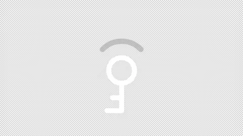Animated smart key white line icon | Stock Video | Pond5