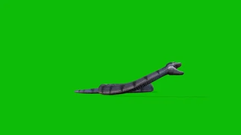 Animated Snacks for Video Green Screen VFX &amp; Motion Graphics Elements Stock Footage 312534107