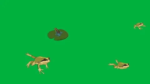 Animated snake and lizard on green screen ideal for wildlife reptile Stock Footage 309673318