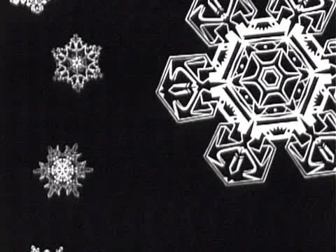 ANIMATED SNOWFLAKES - B&amp;W Stock Footage 22575289