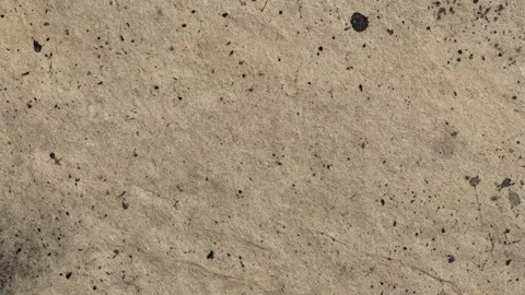 Animated Speckled Beige Paper Texture Background with Dark Ink Flecks 動画素材 327906807