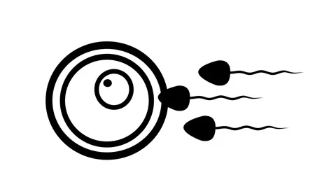 Animated sperm cell moving in seamless loop on white background. Clean moti.. Video stock 313420976