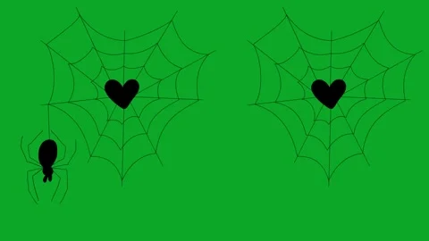 Animated Spider Crawling on Heart Shape Web Green Screen - Cute Spooky Halloween Video stock 319405479