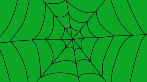 Animated Spider Web Appearing/Building  Expanding Cobweb Overlay Video stock 319405481