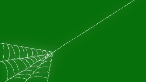 Animated Spider Web Elastic Strand Stretching Effect on Chroma Key 4K Loop Stock Footage 347317635