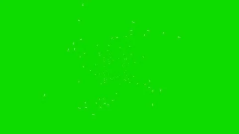 Animated spiral creating on the green screen background and spinning till the Stock-Footage 101214042