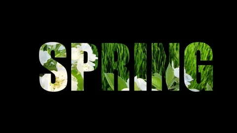 Animated SPRING Text Reveals Lush Foliage Video stock 123482635