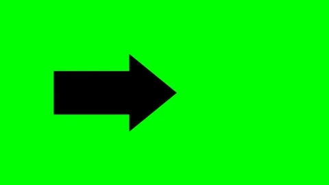 Animated squirrel arrow on a green screen background Stock Footage 311060213