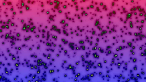 Animated Stars Delicate Star Pattern with Subtle Motion Stock Footage 305220294