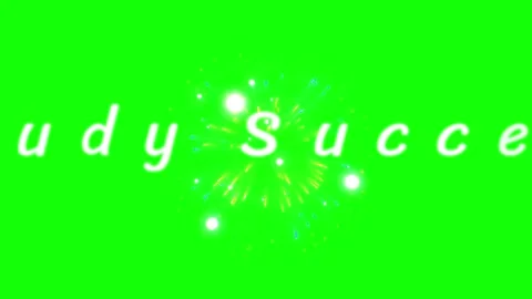 Animated success text on green screen. Motion graphic typography for business Stock Footage 340597551